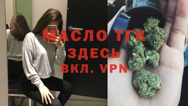 сатива Бежецк