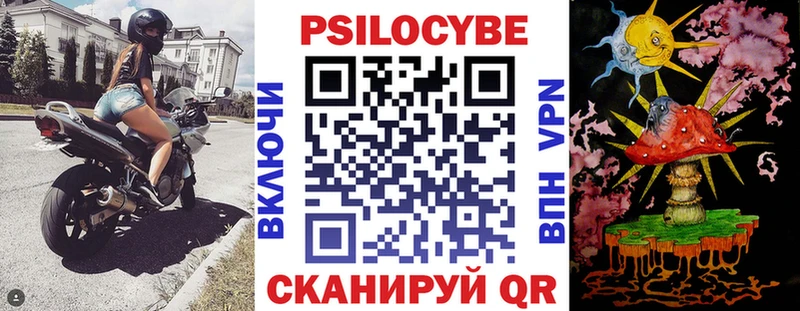 Псилоцибиновые грибы Psilocybe  купить наркотик  Палласовка 